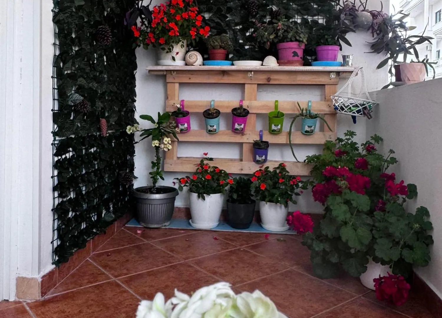 Apartment Comfortable Small Apartment. Sarande